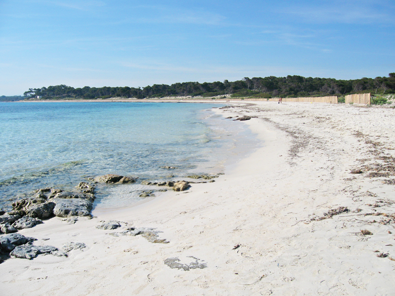 Colònia Sant Jordi - Beach, Strand, Playa Es Carbó