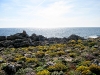 Colònia Sant Jordi Cap Salines